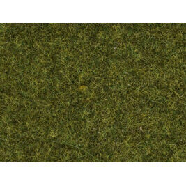 Gras Wiese 1,5 mm 20g Beutel